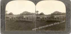 11228-Curtiss-early-Biplane.jpg
