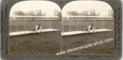 26755-simplest-Airplanes.jpg