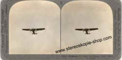 33869-Tri-Motor-Flight.jpg