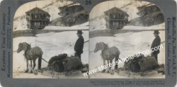15524-Pferd-Telemarken.jpg